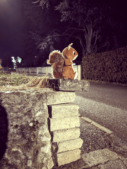 Plush squirrel sitting on a low wall. Night time.