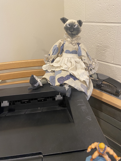 Picture of a strange looking stuffed doll with a cat head wearing a dress