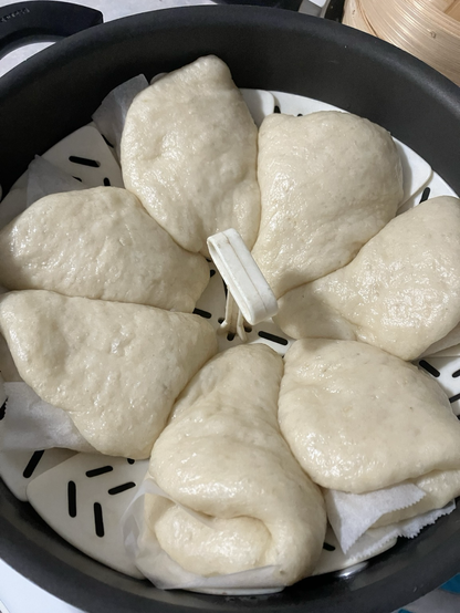 A steamer with proofing bao…