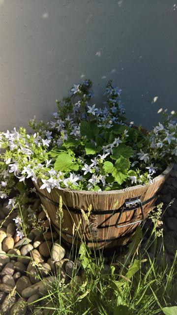 #VisualSearch is #StillQuiteCool...