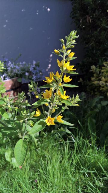 #VisualSearch is #StillQuiteCool...