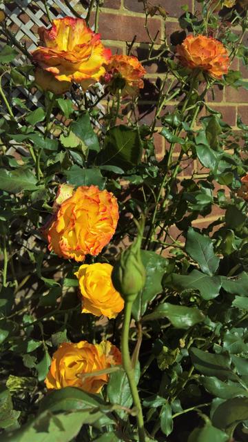 #VisualSearch is #StillQuiteCool...