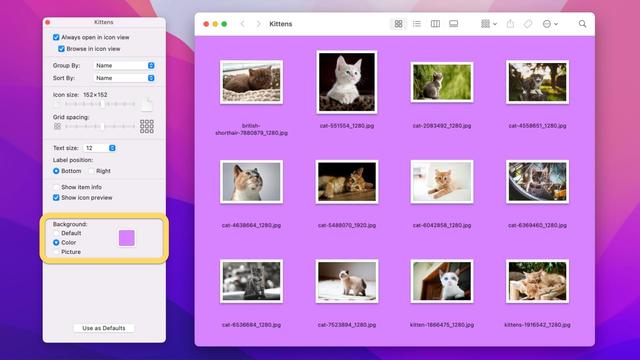 Screenshot of Mac Finder's View options and folder with a purple background