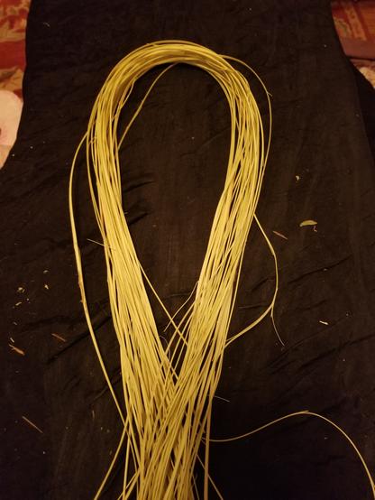 A bunch of strands of raw woodwardia fibers