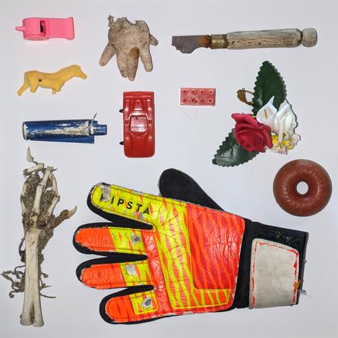 A collection of objects found on the seashore as jetsam. They are arranged tidily on a white background. They include:
A pink whistle
A dolls hand
An old knife
A lego brick
A plastic toy horse
Bones from a seabird's foot
An old lighter
A plastic ring
Fake flowers
A toy car with no wheels
A kid's goalkeeper glove