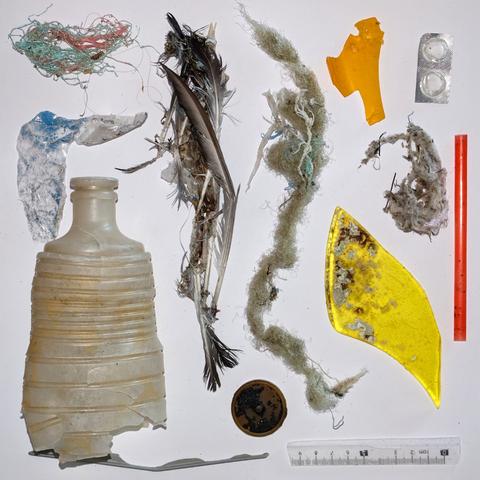 A collection of objects found on the seashore as jetsam. They are arranged tidily on a white background. They include:
A plastic bottle
Feathers and bone
Random pieces of translucent plastic
Part of a ruler
Unravelled string
A plastic straw