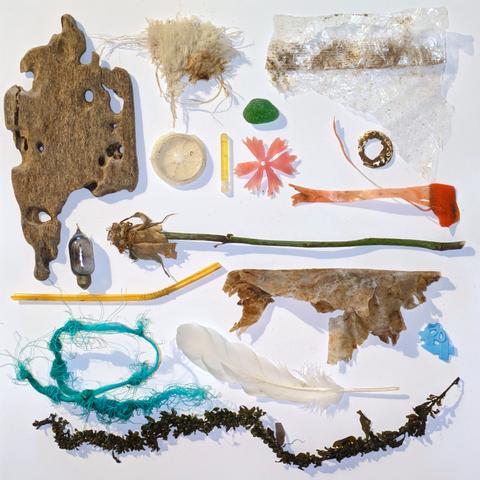 A collection of objects found on the seashore as jetsam. They are arranged tidily on a white background. They include:
Wood with holes in it
Various plastic fragments
A small light bulb
Feather
Dried seaweed
Sea glass
A small bit of carpet