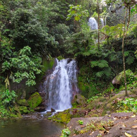 A near view of two waterfalls cascading into a pool at the left foreground, surrounded by tropical plants and volcanic stones.