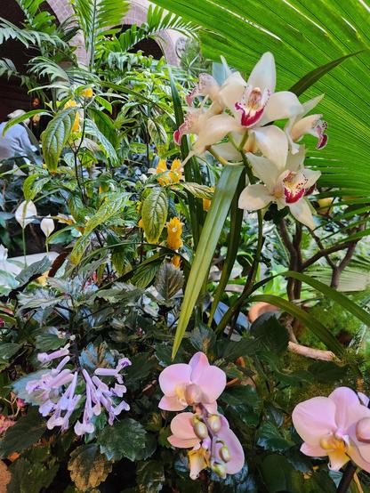 A photo of multiple tropical plants at the edge of a courtyard that we can not see because of a large green leaf taking up the background. The colors of the flowers include pink, purple, blue, magenta, yellow, orange,  white, and probably many others.