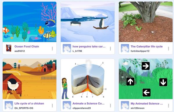 A screenshot of a social network platform displaying various educational posts with illustrations and one real photograph. There are images related to the ocean food chain, penguins, the life cycle of a caterpillar depicted by a real photo of a plant base, the life