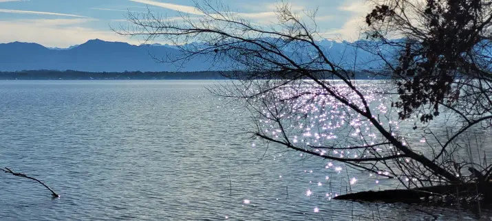 Bild zeigt Starnberger See und im Hintergrund die Alpen.