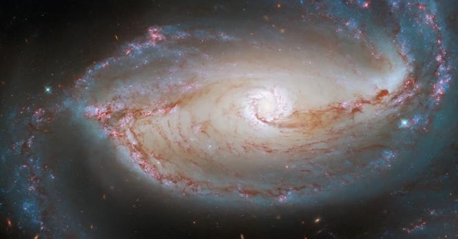 Dieses Bild zeigt das Herz der Balkenspiralgalaxie NGC 1097, wie es vom Hubble-Weltraumteleskop der NASA aufgenommen wurde.
(Bild: ESA/Hubble & NASA, D. Sand, K. Sheth)