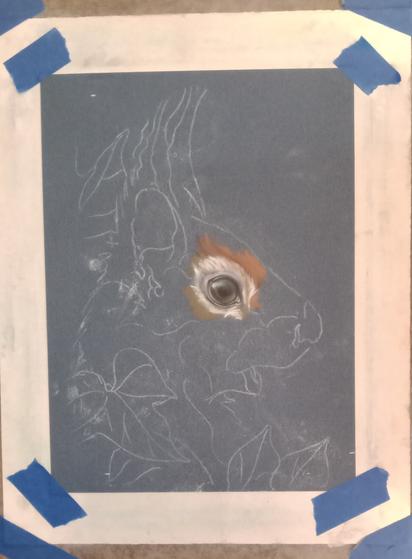 Soft pastel portrait of a squirrel in progress on dark blue paper. In profile with just an eye done.
