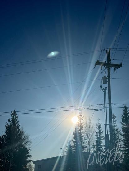 A photo of a very clear blue sky with a blinding bright spot shooting rays of light all over the place, and some silhouettes of trees, power lines, and a building. Not sure what the blinding bright spot is, must study the matter further.