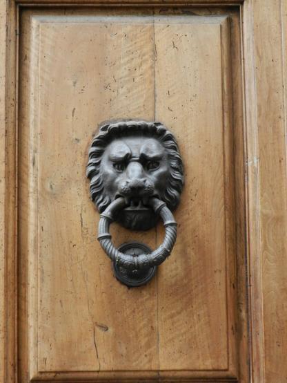 An ornate door knocker on a weathered wooden door. The door knocker features intricate designs and craftsmanship, while the door itself shows visible grains and scratches.