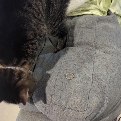 A coin sitting on the back of the couch (it was handy as a photography prop) with the cat charging along the couch and about to send it flying.