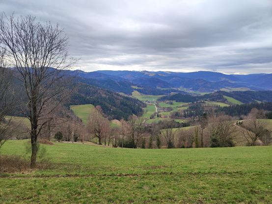 Rosskopfturm mit Rad im Vordergrund