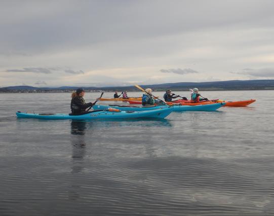 Six sea kayakers on calm water