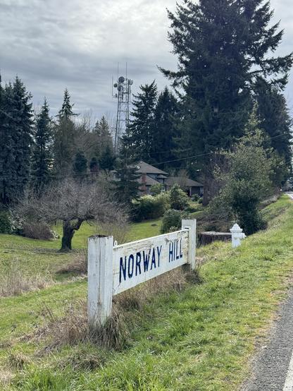 Picture of a sign in a grassy yard that reads Norway Hill. There are pine trees in the background and a communications tower rising above (most of) them.