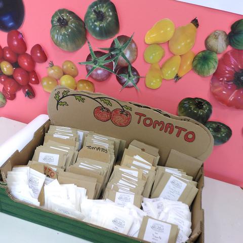 A tray of tomato seeds with a display about tomatoes behind it