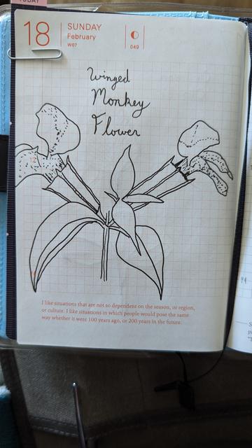 A pen and ink drawing of a winged monkey flower