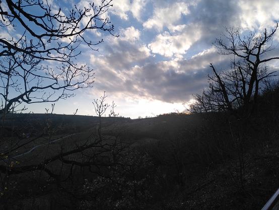 Weinberge und Sonnenuntergang