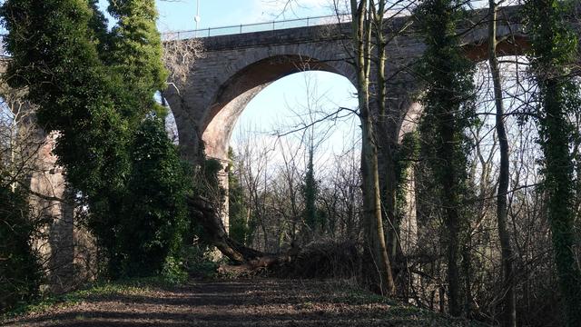 Four arches of a viaduct glimpsed stretching from left to right across a wooded path with trees around. There is water (not visible) to the left and right of the path.