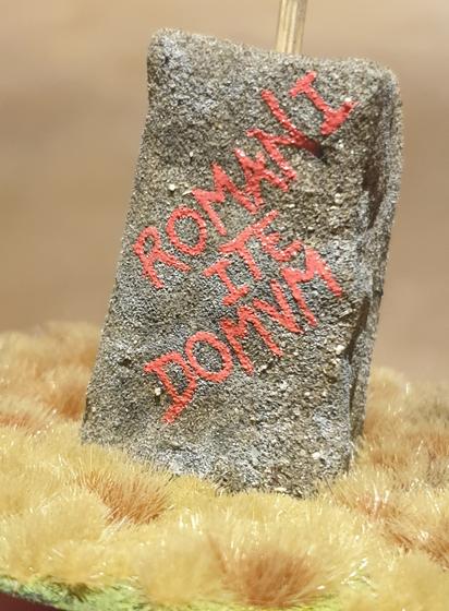 A photo of a grey "megalith" standing stone, surrounded by tussock grasses.

Written on the stone in a reddish pink, at about a 45° angle, is the phrase:

ROMANI
    ITE
DOMVM