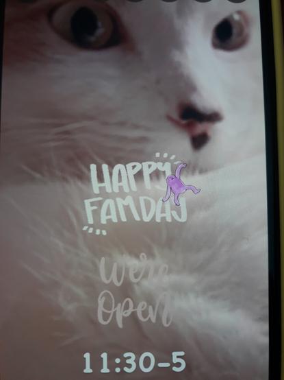 a picture of Lainey the cat with the words happy fam day open till 5 in the front