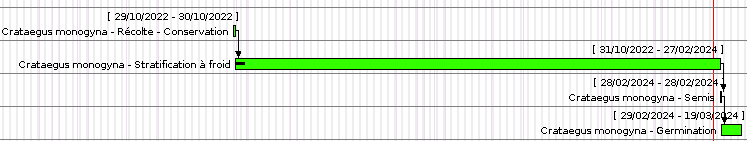 Partie graphique(2)  qui présente les différentes étapes de stratification sur un calendrier perpétuel.