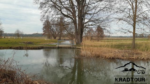 Baumspiegelung im Fluss, dahinter Wiesen und Ackerland.
