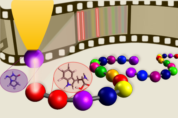 Die chemisch sensitive Messpitze des Rastertunnelmikroskop (lila Kugel an gelber Pfeilspitze) erkennt spezifische Aminosäuren in einer Peptidkette, vergleichbar mit einzelnen Informationen auf einem Filmstreifen. Bildnachweis: IAP/TU Braunschweig
