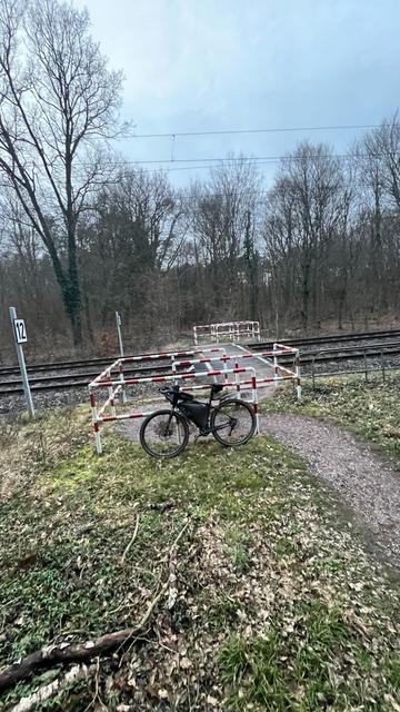 Ein Übergang über die Bahnschienen im Wald mit Umlaufsperren from hell.