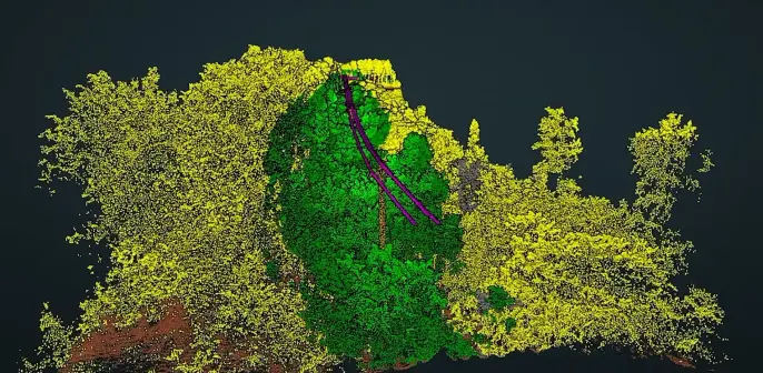 graphic / model - point cloud - forest with overhead powerlines (from LiDAR data)