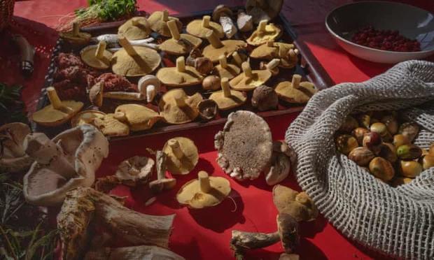 Research suggests ADHD traits could have helped our ancestors forage for food. Photograph: Sarah Lee/The Guardian