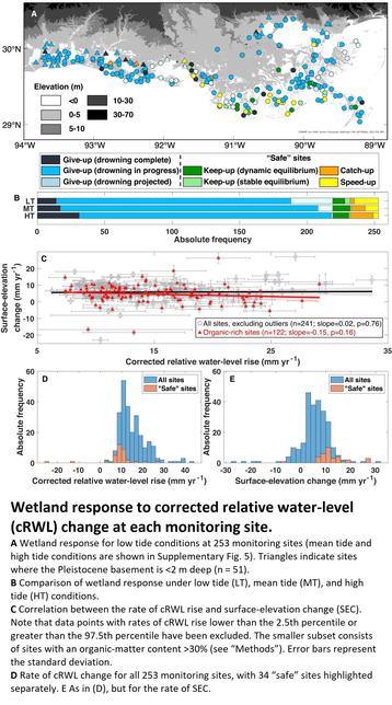 maps & charts - Wetland response to corrected relative water-level (cRWL) change at each monitoring site.