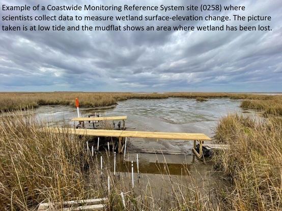 photo - Example of a Coastwide Monitoring Reference System site (0258) where scientists collect data to measure wetland surface-elevation change. The picture taken is at low tide and the mudflat shows an area where wetland has been lost.