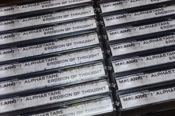 Alphastare/Malarki Erosion of Thought. Multiple copies, stacked spine out, fill the space