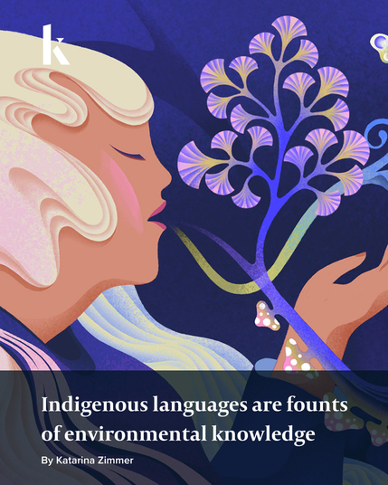Conceptual illustration shows a person speaking words that appear as aspects of the natural world, like plants and animals. Text reads: Indigenous languages are founts of environmental knowledge