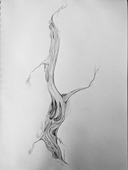 A surreal, twisted graphite drawing of a piece of "desert driftwood" -- inexplicably occurring shards of wood that appear in the sand, usually not close to any vegetation that would have spawned them. This wood is twisted, knotty, and broken in strange places. Siin has terminated each trailing twisted branch with freehand sigils and dotwork, hiding her signature in amongst the freeflowing lines somewhere.