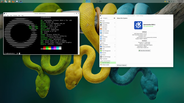 Neofetch and mini pc stats screenshot