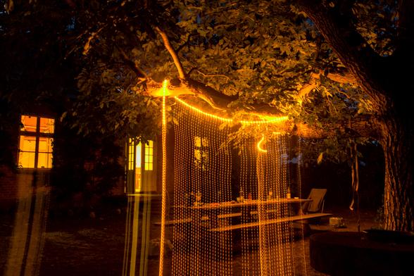 dicke äste einer alten kastanie ragen über eine lange holz bank mit tisch. in einem ast hängt eine lichterkette, durch langzeitbelichtung und bewegen der kamera sie es aus als würde die lichterkette "regnen"