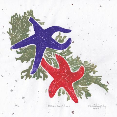 My Lino block print of two ochre sea stars (one purple and one orange) on kelp (in khaki green) is printed on white washi paper with speckled bark inclusions.