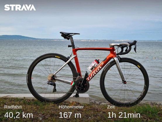 Strava-Screenshot Rennrad und im Hintergrund der Bodensee