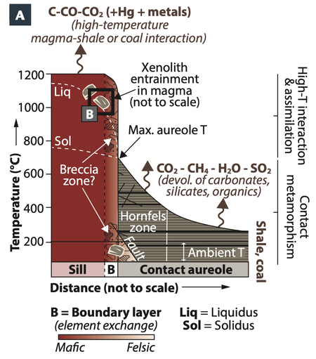 Figure from Deegan et al, 2023 showing a model for the release of carbon and sulfur gasses from heated sediments next to a mafic sill.