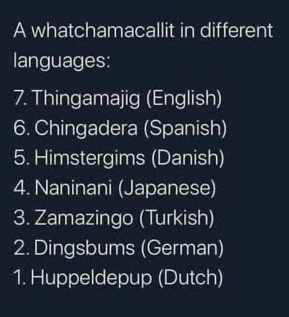 A whatchamacallit in different languages:

7. Thingamajig (English)

6. Chingadera (Spanish)

5. Himstergims (Danish)

4. Naninani (Japanese)

3. Zamazingo (Turkish) 

2.Dingsbums (German)

1. Huppeldepup (Dutch)