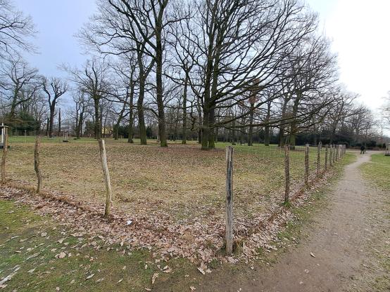 Ein Wildtierzaun mit groben Maschen und Holzpfählen umgrenzt eine Gruppe von alten Eichen in der Hasenheide großzügig.