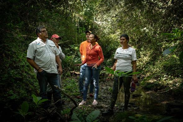 5 people in casual clothes standing and talking in a forest