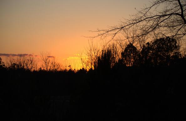 This is a sunset, with an orange sky and black silhouettes of trees.