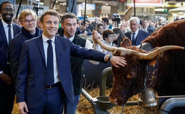 Le président au Salon de l'agriculture de l'an passé) pose avec un bovin.